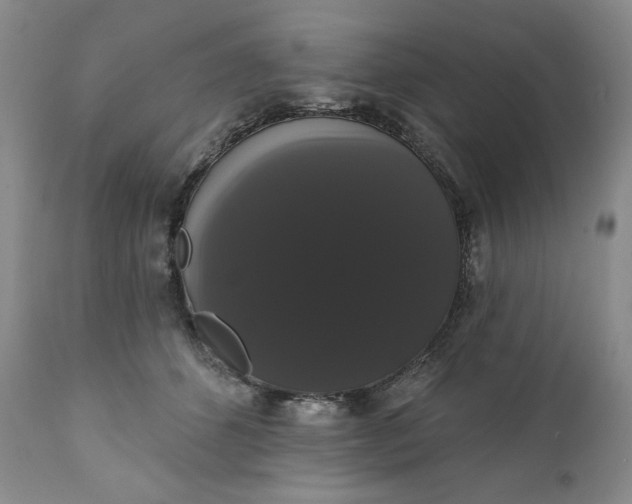 X0000111440512200907271133