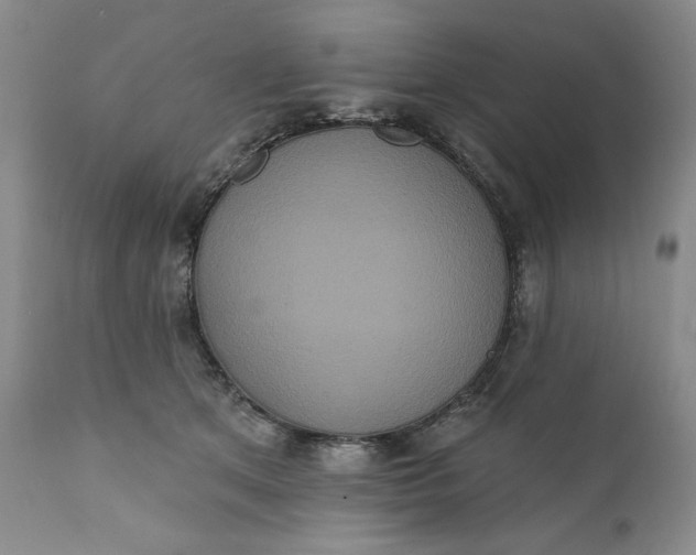 X0000111440513200907271133