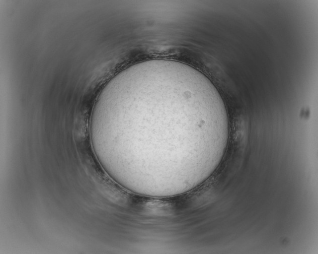 X0000111440515200907271133