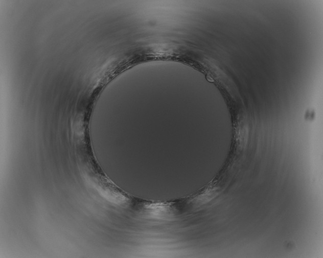 X0000111440516200907271133