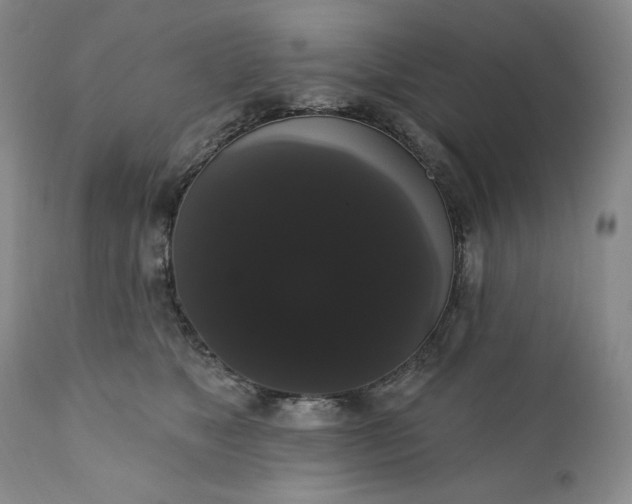 X0000111440517200907271133