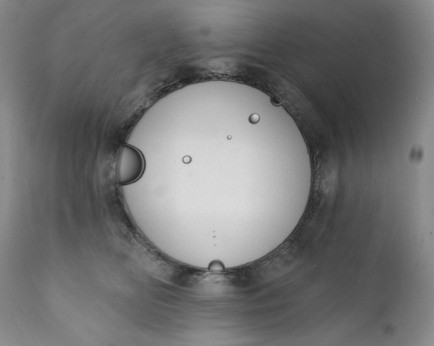 X0000111440518200907271133