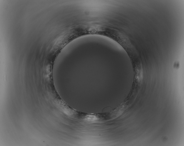 X0000111440519200907271133