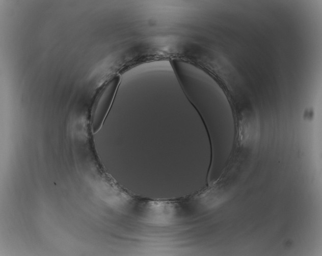 X0000111440520200907271133