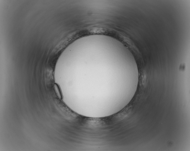 X0000111440521200907271133