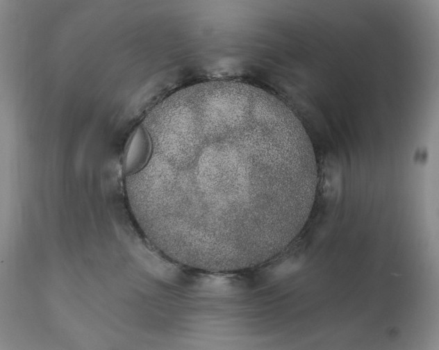 X0000111440523200907271133