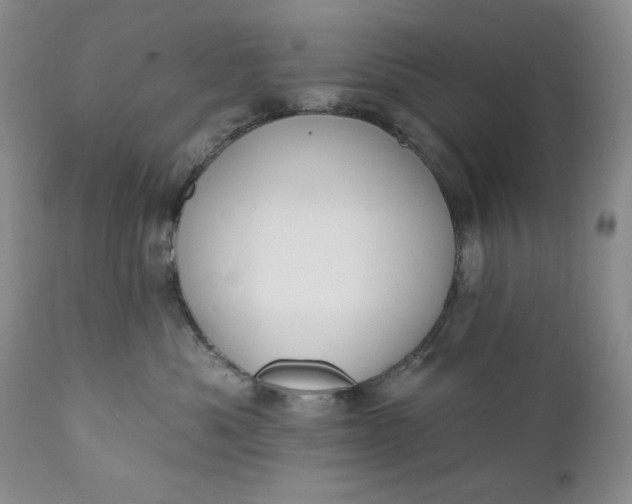 X0000111440525200907271133