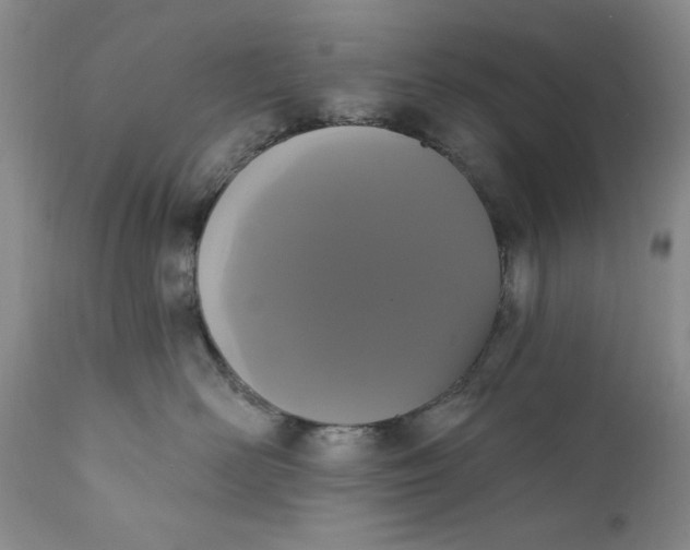 X0000111440526200907271133