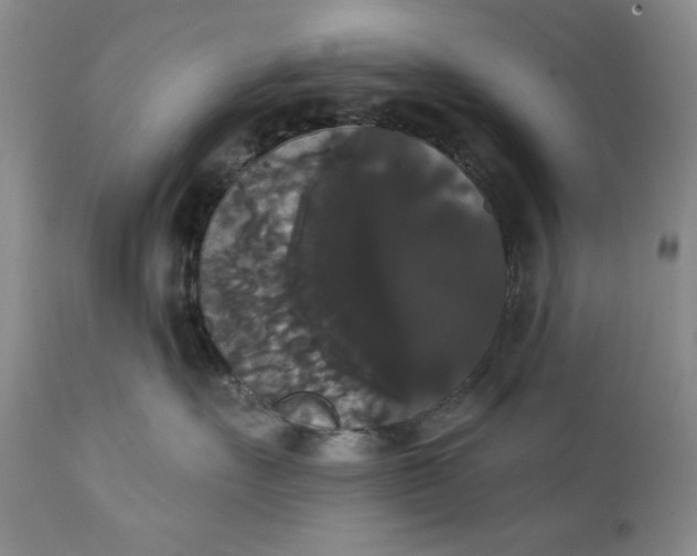 X0000111440527200907271133