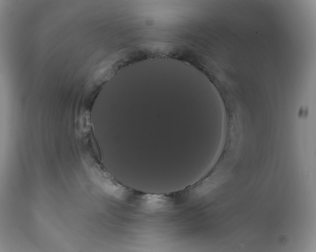 X0000111440528200907271133