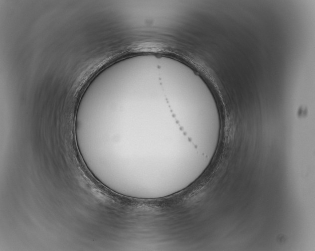 X0000111440529200907271132