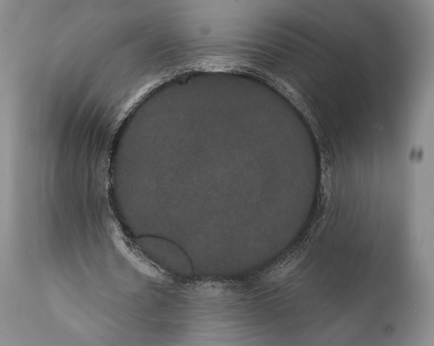 X0000111440530200907271132