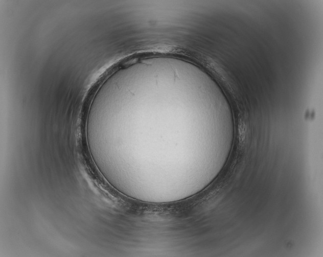 X0000111440532200907271132