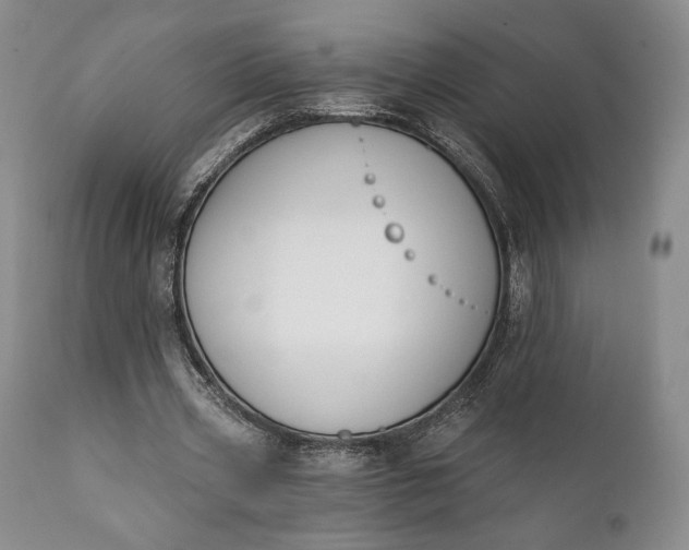 X0000111440533200907271132