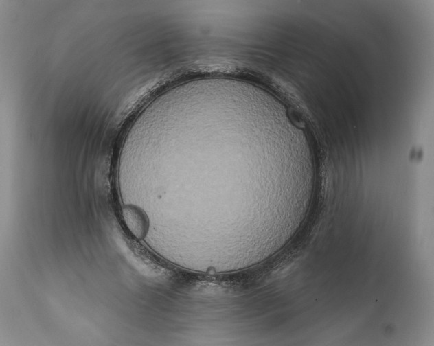 X0000111440538200907271132