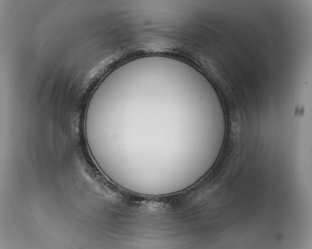 X0000111440539200907271132