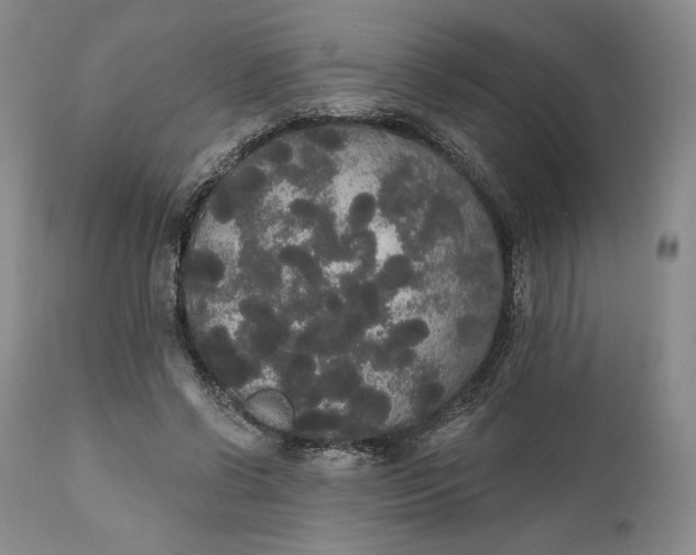 X0000111440542200907271132