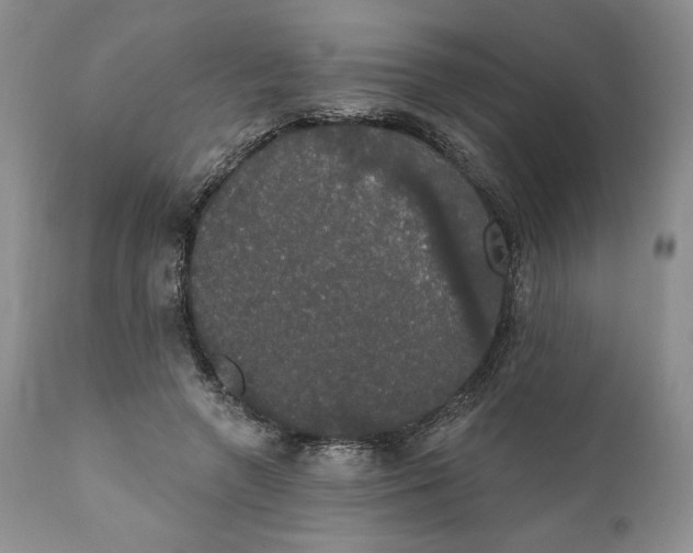 X0000111440546200907271132