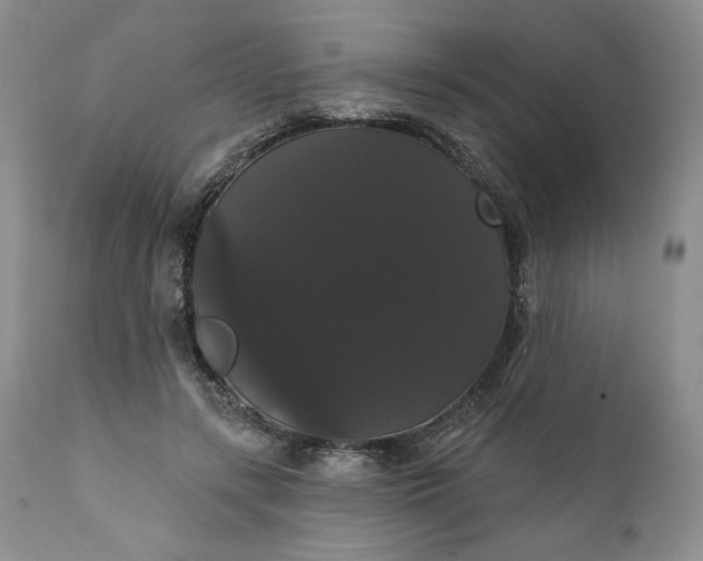 X0000111440547200907271132