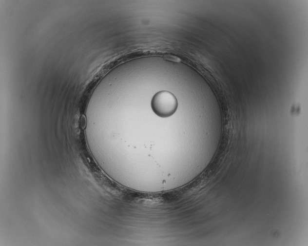 X0000111440548200907271132