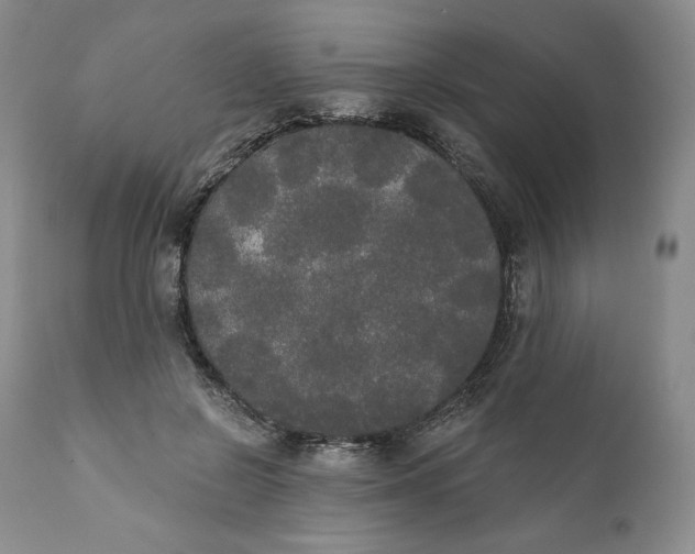 X0000111440550200907271132