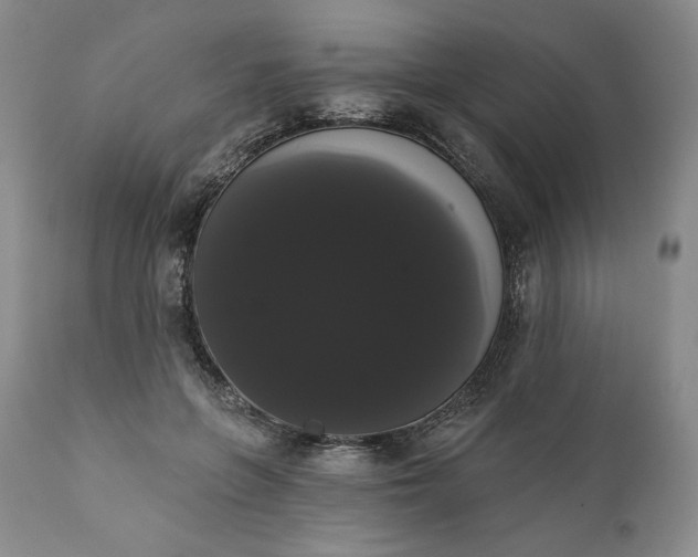 X0000111440551200907271132