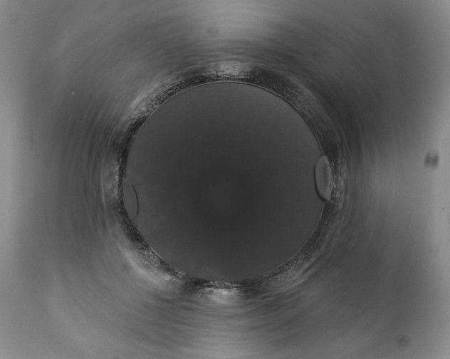 X0000111440552200907271132