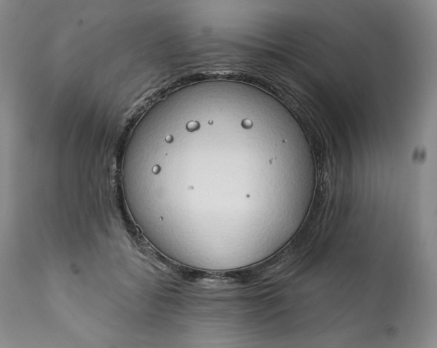 X0000111440556200907271132