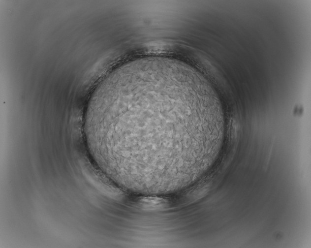 X0000111440557200907271132