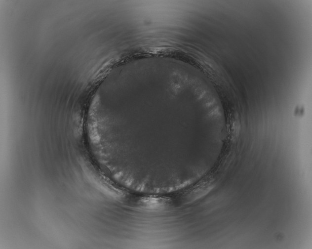 X0000111440558200907271132