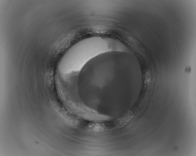 X0000111440559200907271132