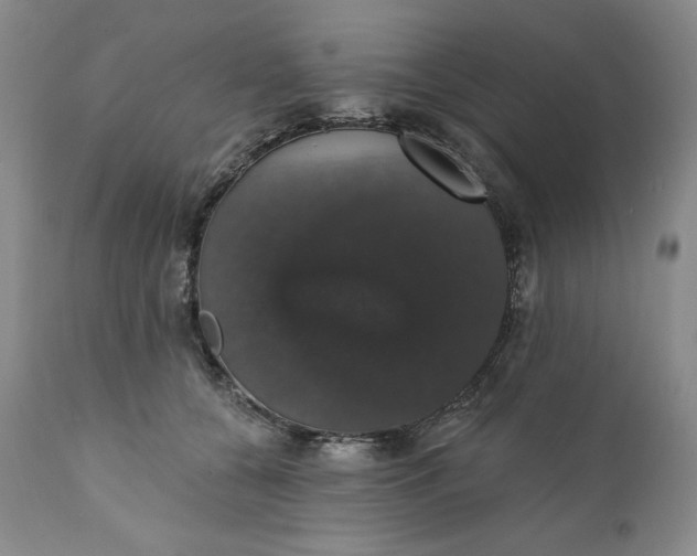 X0000111440560200907271132