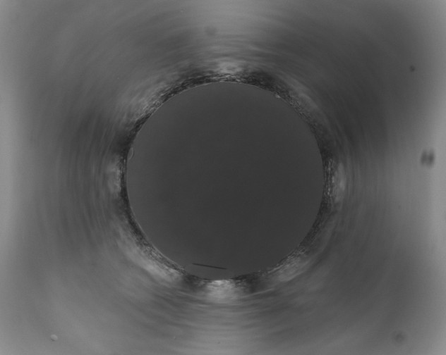 X0000111440562200907271132