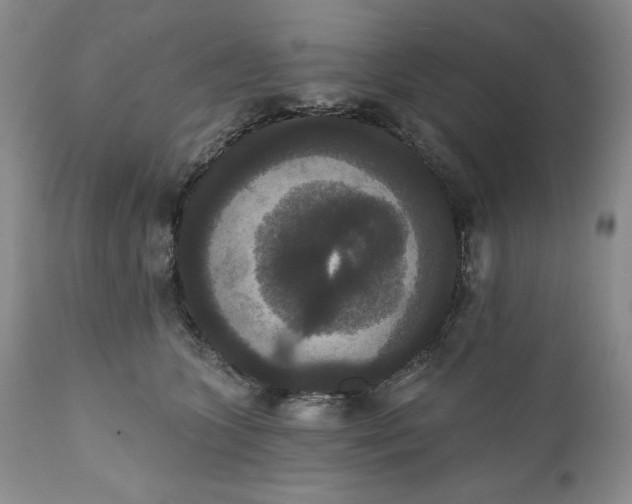 X0000111440563200907271133