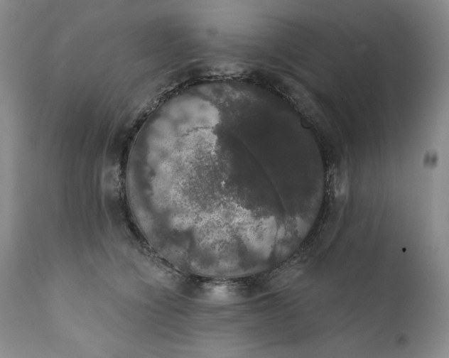 X0000111440564200907271133