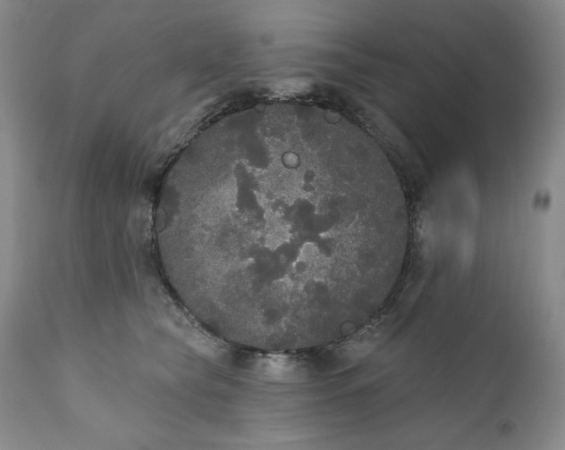 X0000111440565200907271133