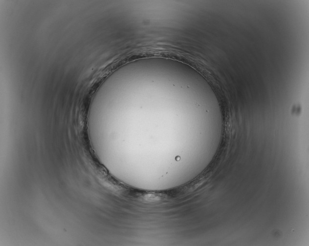 X0000111440566200907271133