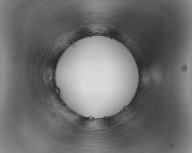 X0000111440567200907271133