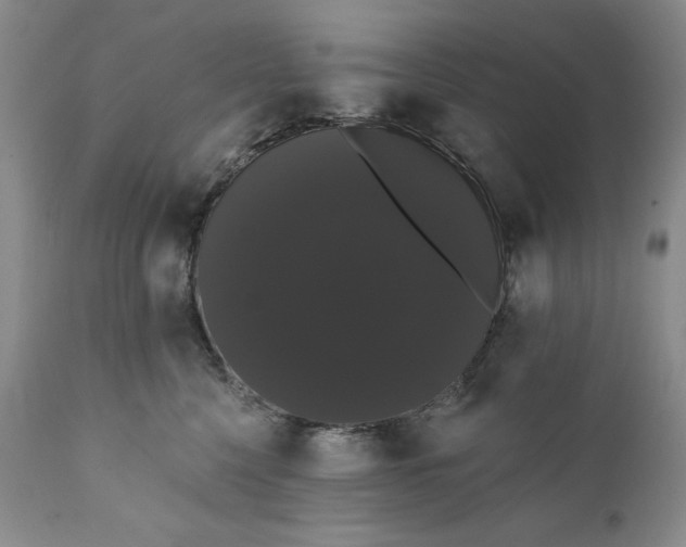 X0000111440568200907271133