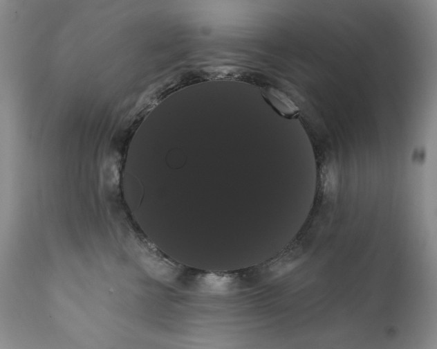 X0000111440570200907271133