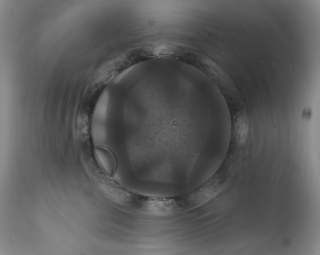 X0000111440571200907271133