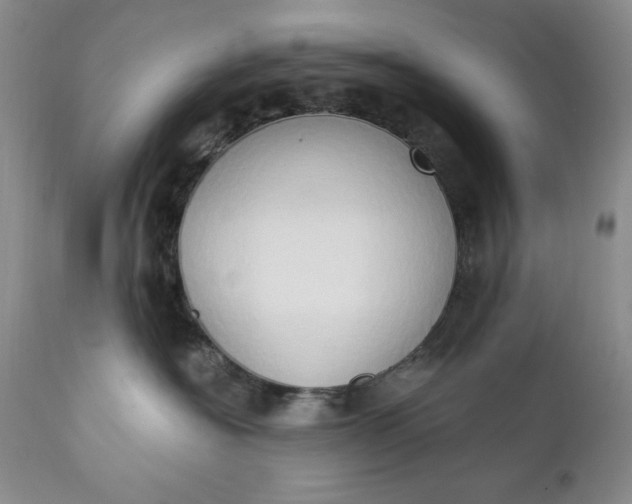 X0000111440574200907271133