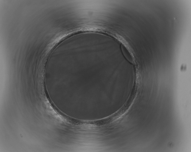 X0000111440577200907271132