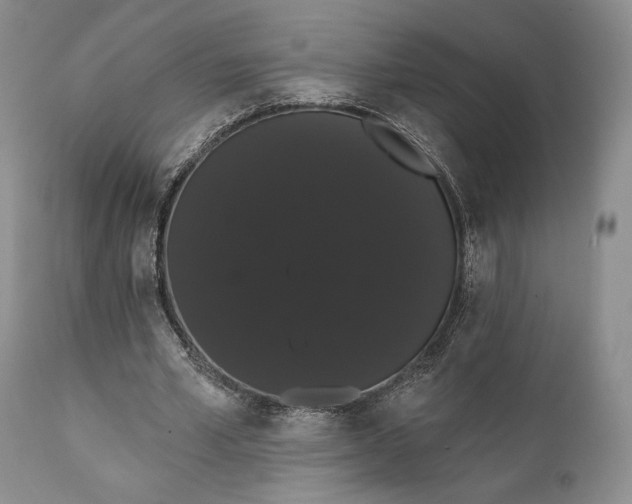 X0000111440581200907271132