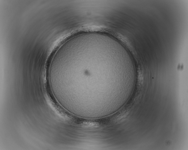 X0000111440582200907271132