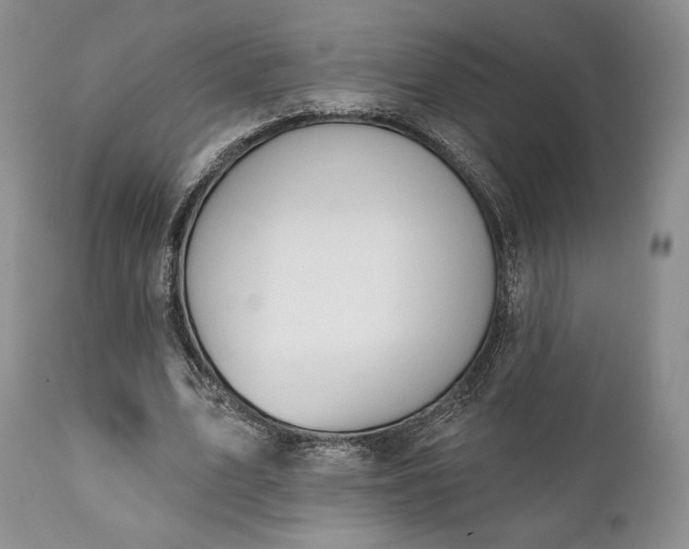 X0000111440583200907271132