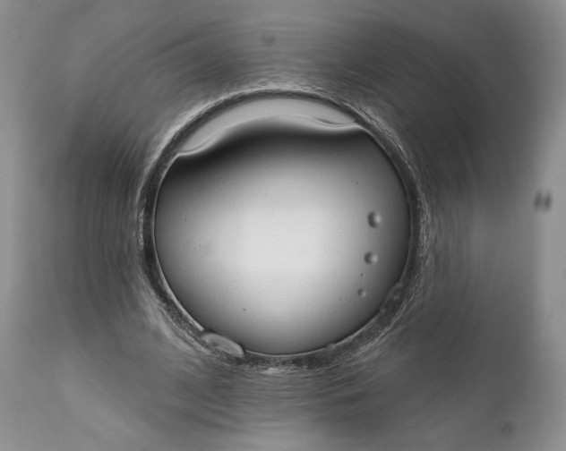 X0000111440584200907271132