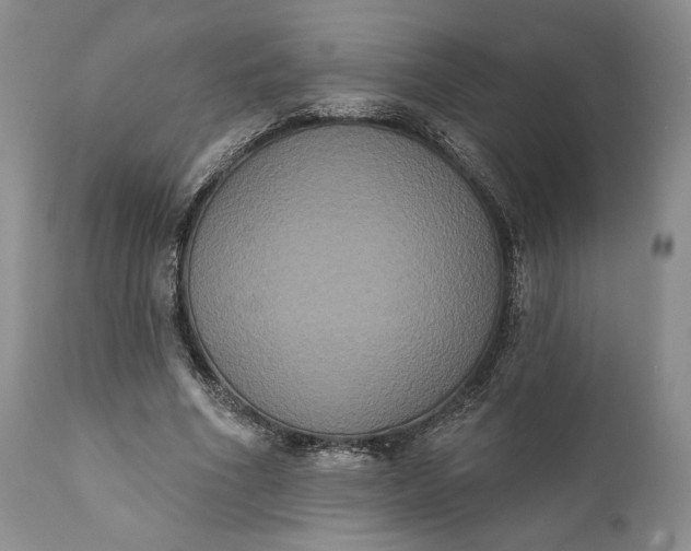 X0000111440586200907271132