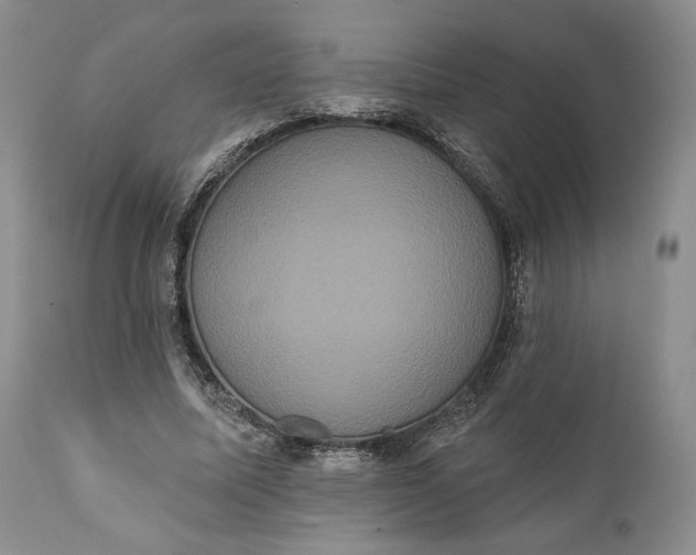 X0000111440587200907271132