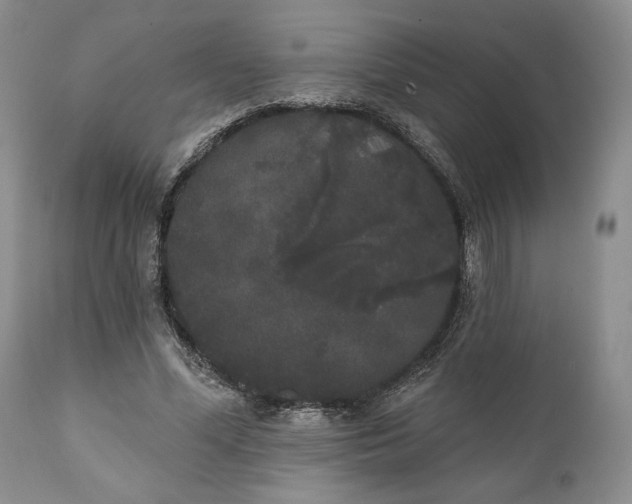 X0000111440588200907271132